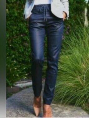 NWOT Bevy Flog Coated Pants Shely Jogger Drawstring Stretch Streetwear 27